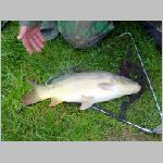 Popelov 17.9.2008 -39.JPG